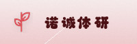 合作伙伴